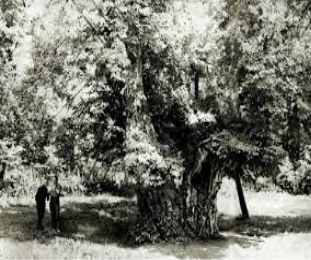 C:\Users\User\Desktop\Без названия.jpg